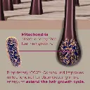 Women_sTile5_900x.webp
