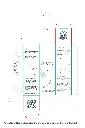 CİCA-03.webp