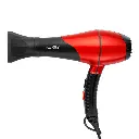 Ikonic Professional Pro 2200 Hair Dryer with 2 heat nozzles and 1 diffuser (Red & Black)